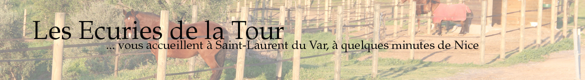 Les Ecuries de la Tour